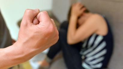 Symbolbild: Maurizio Gambarini/dpa
Wegen Bedrohung, Betrugs, Körperverletzung, Verstoßes gegen das Tierschutzgesetz, Nötigung und Verbreitung pornografischer Inhalte hatte sich ein Mann vor Gericht zu verantworten.