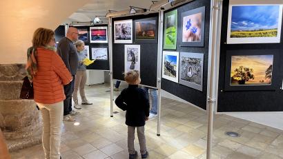 Bild: mor
Im herrlichen Ambiente des Eschenbacher Malzhaus erfreuten sich Groß und Klein an der Ausstellung der Fotofreunde Eschenbach/Grafenwöhr.