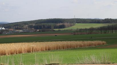 Bild: war
Ein weiteres Großprojekt in Sachen Energiemanagement ist auf den Grundstücken mit den Flurstücknummern 413, 428 und 429 in Vorbereitung. Auf 10 Hektar Fläche könnten eine Agri-PV-Anlage (9,5 Hektar) und eine Batteriespeicheranlage (0,5 Hektar) entstehen.
