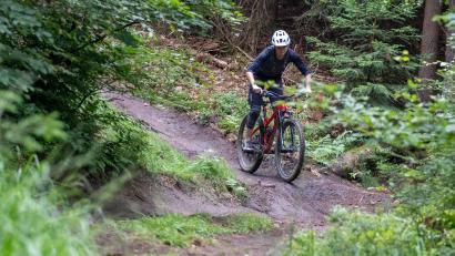 Symbolbild: Daniel Karmann/dpa
Schon ab Ende dieses Jahres könnten im Bereich zwischen dem Naturparkland Oberpfälzer Wald und der Silberhütte vier neue Mountainbike-Trails entstehen.