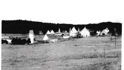 Bild: Archiv Luca Wurzer
Das Dorf Unterachtel nach der Zerstörung: Viele Häuser haben noch einen Giebel, aber kein Dach mehr.
