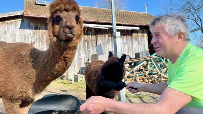 Bild: Gabi Schönberger
Auf der kleinen Ranch von Reiner Gäbl gibt es es auch Alpakas.