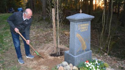 Bild: jr
Herbert Bauer pflanzte in Erinnerung an die Toten eine Säulenbuche beim Gedenkstein.