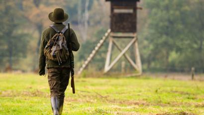 Symbolbild: Philipp Schulze/dpa
Das neue Jagdgesetz sei ein "Generalangriff auf geschützte Arten", sagt der Bund Naturschutz in Bayern.