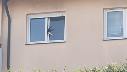 Bild: Polizei Mittelfranken
Eine Katze ist in Mittelfranken in einem Fensterrahmen steckengeblieben.