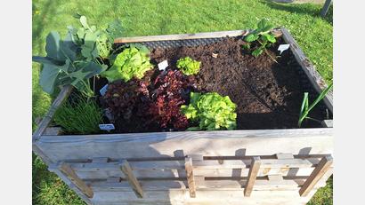 Bild: Michaela Hahn
So hatte der Obst und Gartenbauverein ihr Hochbeet am Spielplatz am Samstag zurückgelassen.
