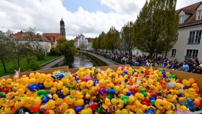Archivbild: Petra Hartl
Im Vordergrund die kreativ verzierten gelben Plastikenten, im Hintergrund der Turm der Basilika St. Martin: Das ist das Entenrennen in Amberg in der Vils.