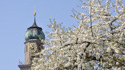 Bild: dob
Der Frühling klopft mächtig an und mit ihm erblüht die Natur die ihre üppige Pracht zeigt.