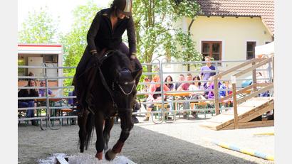 Archivbild: Franz Völkl
Beim Trailturnier ist Geschicklichkeit gefragt.