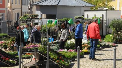 Bild: ge
Pflanzen gehen im Frühjahr immer, am Luitpoldplatz gab es eine große Auswahl für den Garten.