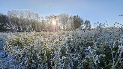Bild: blm
Winterlandschaft bei Illschwang an Weihnachten 2024. Herrlicher Sonnenschein lockte viele Spaziergänger in die Natur.