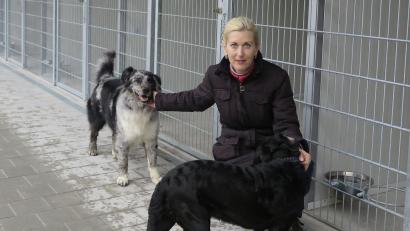 Bild: Hirsch
Gabi Hahn, Vorsitzende des Tierschutzvereins, kümmert sich an Silvester persönlich um die Vierbeiner im Tierheim. Ihre Mitarbeiter legen zum Jahreswechsel eine Nachtschicht ein.