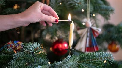 Symbolbild: Bernd Weißbrod / dpa
Papierengel und echte Kerzen sind es an diesem Weihnachtsbaum, und wie sieht Ihrer dieses Jahr aus? Teilen Sie Ihre Freude am Weihnachtsbaum mit anderen Lesern!