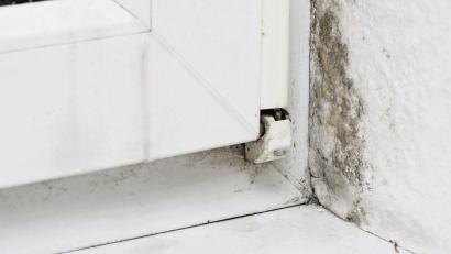 Symbolbild: Andrea Warnecke/dpa
Feuchtigkeit in der Wohnung kann zur Schimmelbildung führen. Manchmal liegt die Ursache dafür an einem Fenstertausch.