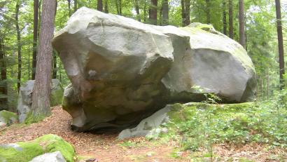 Bild: wsl
Als wahrer Koloss und wohl größter Kallmünzer in Deutschland beherrscht der Zyprianstein die Kallmünzer-Blockfeldszene auf dem Steinberg im Rinnenbrunner Forst. Die Flurbezeichnung Steinberg könnte als Indiz für das gehäufte Vorkommen dieser Steine in diesem Waldstück gelten.