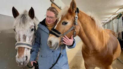 Bild: Gabi Schönberger
Natascha Gollwitzer, Vorsitzende der Reitsportgemeinschaft Weiden, hat einige Tipps, wie Pferde den Jahreswechsel gut verkraften.