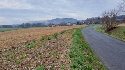 Bild: Ingenieurbüro Blank/exb
Zu beiden Seiten der GVS nach Berg soll der Solarpark Berg mit insgesamt 14 Hektar Fläche errichtet werden.