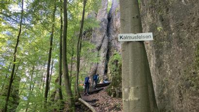Bild: Stefanie Swann
Der markante Fels mit den vorgelagerten Spitzen, der Kalmusfelsen, war Teil der vor- und frühgeschichtlichen Ringwallanlage Hainsburg.