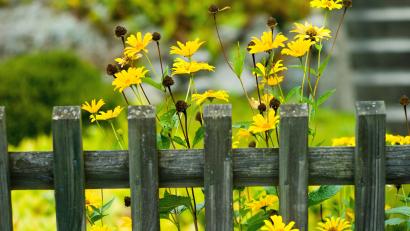 Bild: Maurizio Gambarini
In Etsdorf ist ein Gartenzaun umgefahren worden.