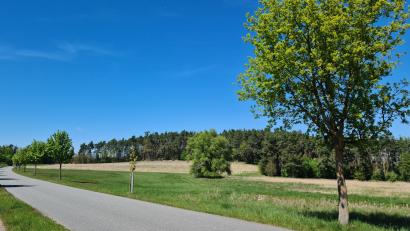 Bild: sne
Idyllisch liegt das zukünftige Baugebiet Steinfelser Straße. Ein kommunales Wärmenetz wird es dort nun nicht geben.