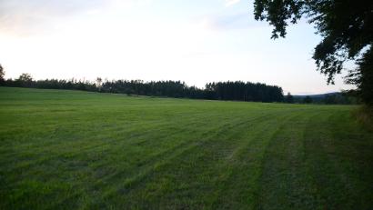 Bild: ak
Der Bürgerentscheid zum Freiflächensolarpark in Haidenaab kann fortgesetzt werden. Im Bild das Grundstück für den Agri-PV-Solarpark bei Haidenaab.