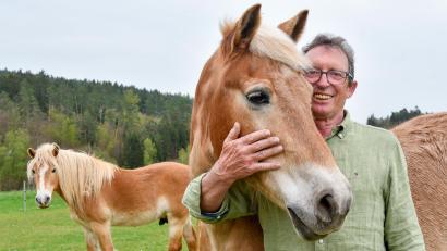 Bild: Petra Hartl
Der Haflingerzüchter Alois Kumeth mit einem seiner Lieblinge.