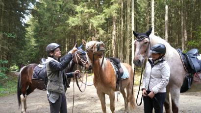 Bild: fvo
Reiterinnen und Pferden macht der WHF-Trail sichtlich Spaß.