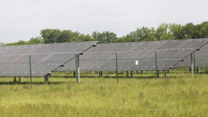 Bild: Hirsch
Im Stullner Ortsteil Geiselhof soll ein Solarpark mit einer Leistung von 25 Megawatt entstehen.