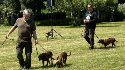 Bild: ge
Auch Jagdhunde präsentieren sich bei den Rotwildtagen in den Hundevorführungen.