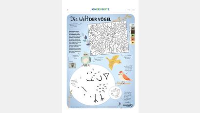 Bild: Oberpfalz Medien
Malen und Knobeln
