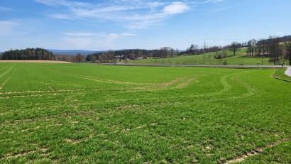 Bild: Stadt Waldsassen/exb
An der Staatsstraße zwischen Waldsassen und Konnersreuth– auf beiden Seiten der Verbindungsstraße nach Wolfsbühl (rechts) – soll eine große Freiflächen-Photovoltaikanlage entstehen. Hier der Blick in Richtung Waldsassen und Netzstahl – von der Stelle aus, an der das geplante Modulfeld enden würde.