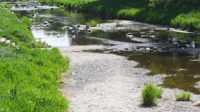 Bild: Gabi Schönberger
Den Flutkanal im Nordosten Weidens kann man aktuell fast trockenen Fußes durchqueren. Und auch in den anderen Fließgewässern der Oberpfalz ist aktuell viel zu wenig Wasser.