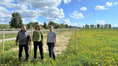 Bild: Kerstin Walch, ALE Oberpfalz
Die Beteiligten – das Ehepaar Cornelia und Herbert Schwamberger so wie Biodiversitätsberaterin Marianne Badura (Mitte) vom Amt für ländliche Entwicklung Oberpfalz – freuen sich über ein rundum gelungenes Projekt