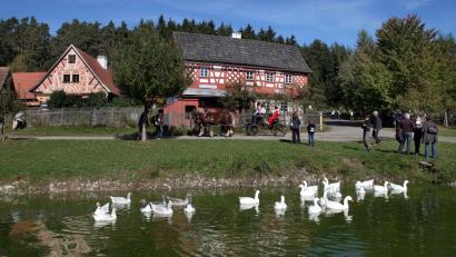Archivbild: Gerhard Götz
Im Oberpfälzer Freilandmuseum findet am 1. Juni der Schaftag statt.