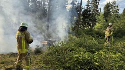 Bild: nza
Dichtes Gestrüpp und abschüssiges Gelände erschwerten die Löscharbeiten und machten den Einsatz für die rund 120 Feuerwehrleute sehr mühsam. Weil es im Wald keine Hydranten gibt, musste das Löschwasser mit Tanklastern herangebracht werden.