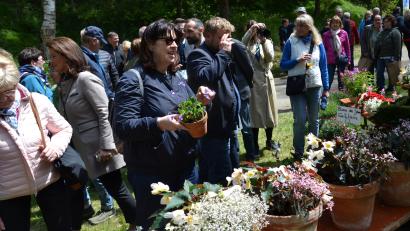 Bild: gi
Es gab eine große Auswahl an Blumen.