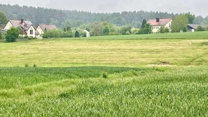 Bild: Gerhard Krones
Für das Bebauungsgebiet Zierlohe in Seugast, hier ein Ausschnitt der Fläche, fordert das Wasserwirtschaftsamt ein Hochwasserschutzkonzept