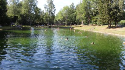 Archivbild: soj
An heißen Tagen suchen viele Besucher Abkühlung im Ebnather Freibad.