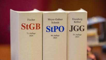 Symbolbild: Thomas Banneyer/dpa
Ein 30-Jähriger muss sich am Weidener Landgericht wegen des Vorwurfs des mehrfachen schweren Diebstahls und der Sachbeschädigung verantworten.