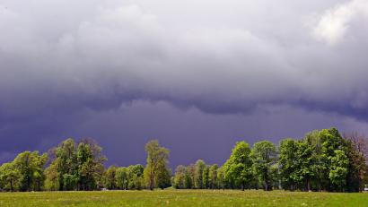 Symbolbild: Nicolas Armer/dpa
Das Regenwetter der vergangenen Tage hat die Waldbrandgefahr gesenkt.