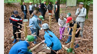 Bild: gf
Blätter erkennen und sie dann an den richtigen Stamm hängen: Die Kinder hatten jede Menge Spaß bei dieser Aufgabe der Waldjugendspiele auf dem Mariahilfberg in Amberg.