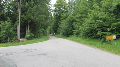 Bild: fz
Baulastträger der Straße von Brünst nach Pleystein ist die Gemeinde Georgenberg schon lange, nun ging auch das Eigentum über.