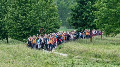 Bild: Armin Weigel/dpa
Die Regensburger Fußwallfahrt nach Altötting hatte in diesem Jahr nach Veranstalterangaben einen großen Teilnehmer-Zuwachs.