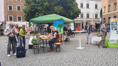 Bild: Cornelia Kuhn/exb
Die Amberger Omas haben am Tag der Umwelt am Marktplatz Präsenz gezeigt.