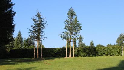 Bild: Josef Söllner/exb
Am Friedhof in Ebnath wurden Bäume neu gepflanzt. Hier sind ab sofort Baumbestattungen möglich.