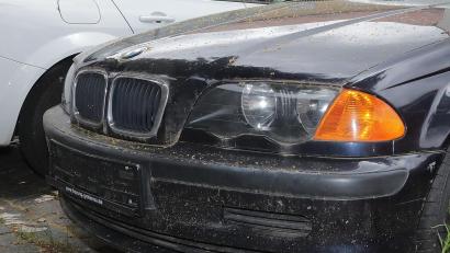 Symbolbild: Wolfgang Steinbacher
Kein Kennzeichen mehr: In Auerbach haben Nummernschild-Diebe zugeschlagen