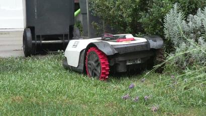 Symbolbild: Sascha Thelen/dpa
Ein 67-jähriger Mann aus Bruck wurde beim Verrichten seiner Notdurft in einem fremden Garten ertappt.
