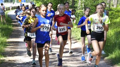 Bild: Hubert Ziegler
Die Schüler auf der Strecke über die 2000 Meter beim Hahnenkammlauf in Edelsfeld .