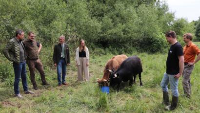 Bild:  Mirko Streich/Stadt Tirschenreuth
Thomas Kurzeck vom Landschaftspflegeverband, Jagdpächter Florian Helgert, Bürgermeister Franz Stahl, Kämmereimitarbeiterin Ramona Thiermann, Rinderhalter Alois Röckl und Stadtförster Stefan Gradl (von links) bei einem Vor-Ort-Termin. Die immer hungrigen Urmel (rechts) und Motschi (links) zeigten sich vom Besuch jedoch gänzlich unbeeindruckt.