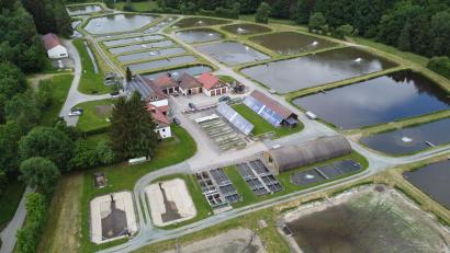 Bild: Bezirk Oberpfalz/exb
Der Teichwirtschaftliche Beispielsbetrieb Wöllershof kann saniert werden.